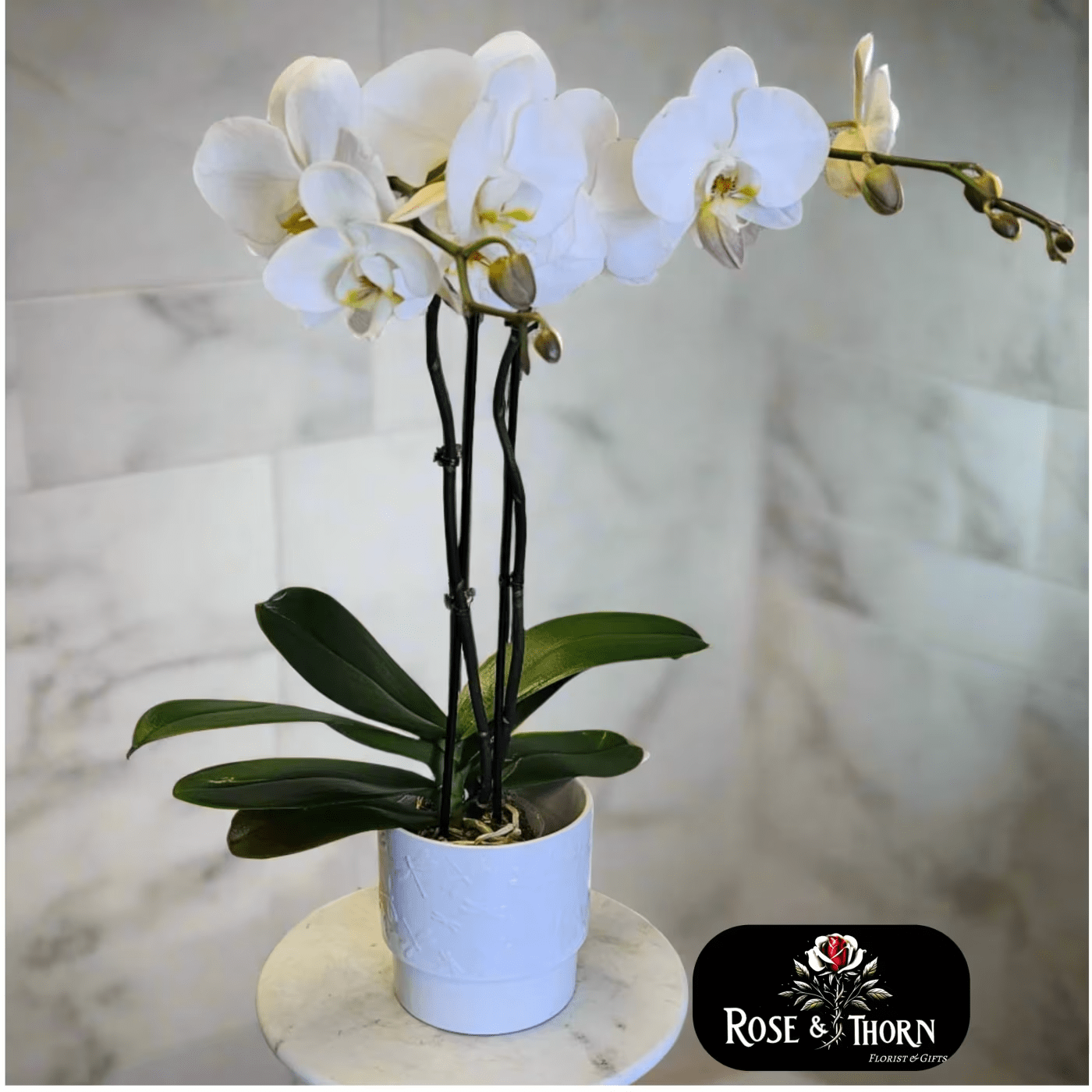 Handcrafted floral bouquet from Rose & Thorn Florist, available in multiple sizes including Standard, Deluxe, and Premium. Fresh flower delivery in Scottsdale, Paradise Valley & Phoenix.