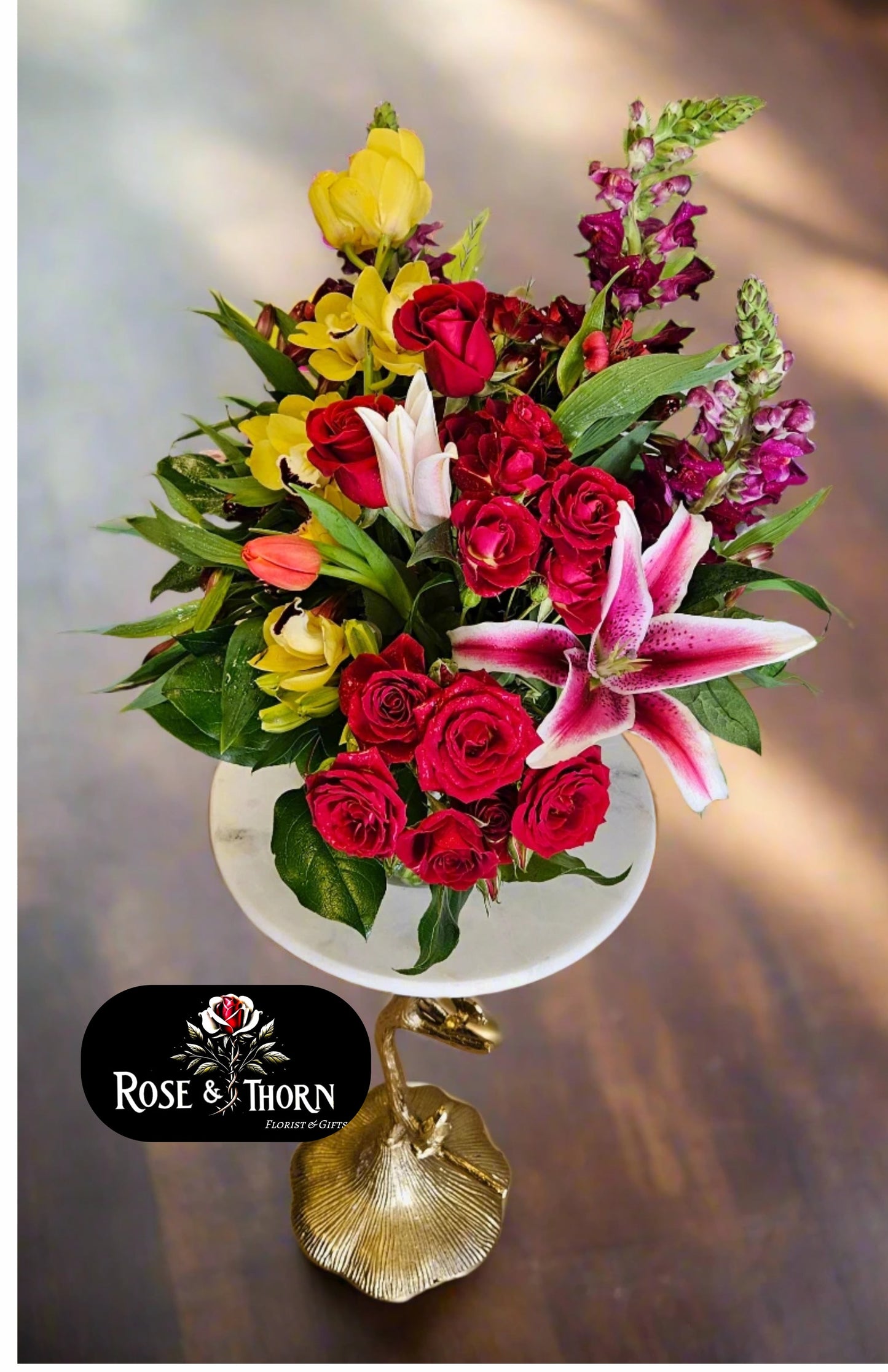 Cymbidium Glow : IN 45