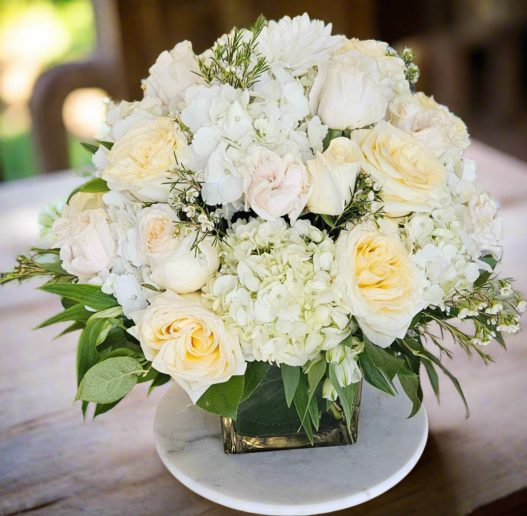 Pure Elegance : IN 46