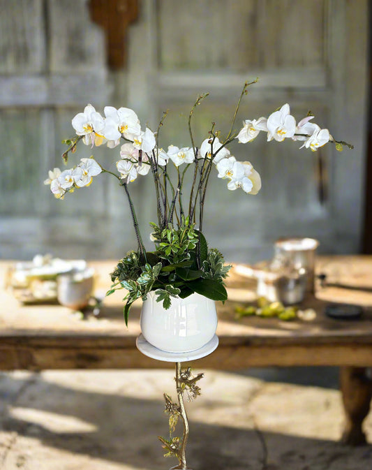 "Nest of Orchids":