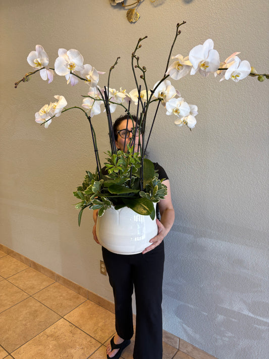 "Nest of Orchids":