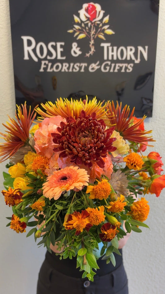 🌻 Thanksgiving Glow : IN 54