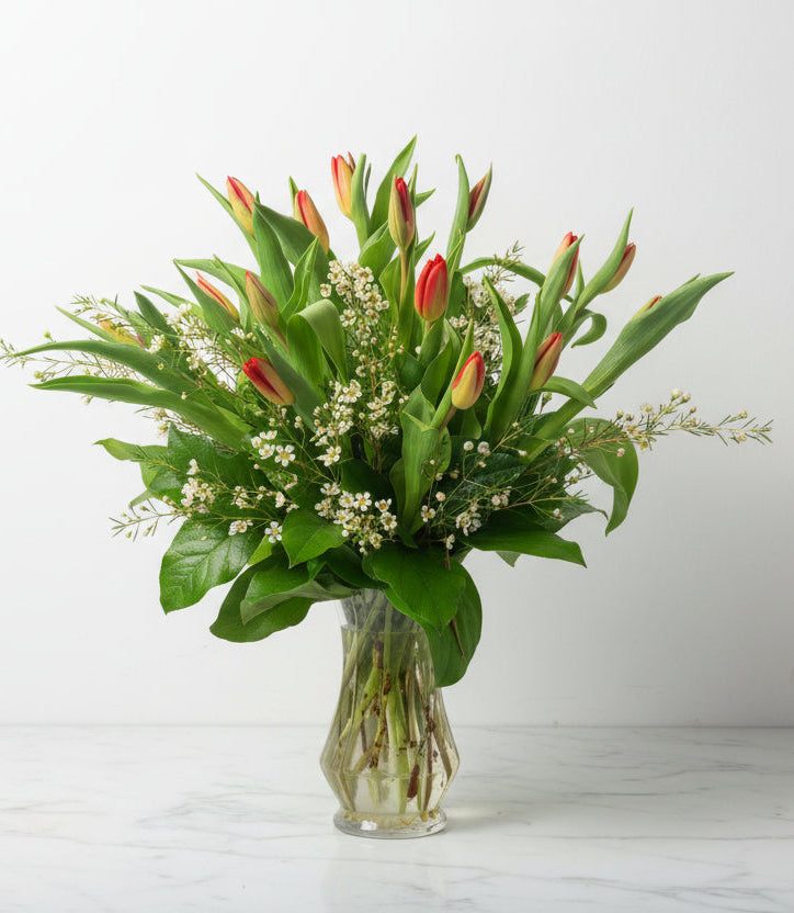 🌷 24 Mixed-Color Tulips 🌷