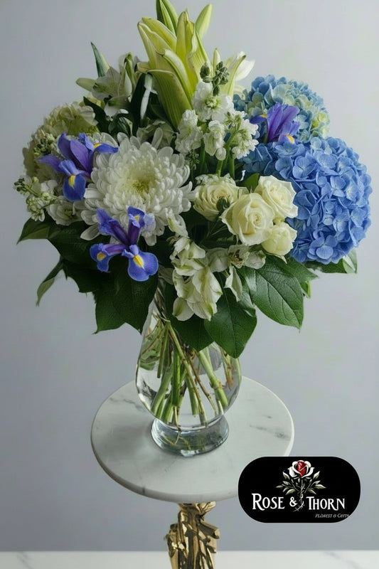 Blue & White Harmony