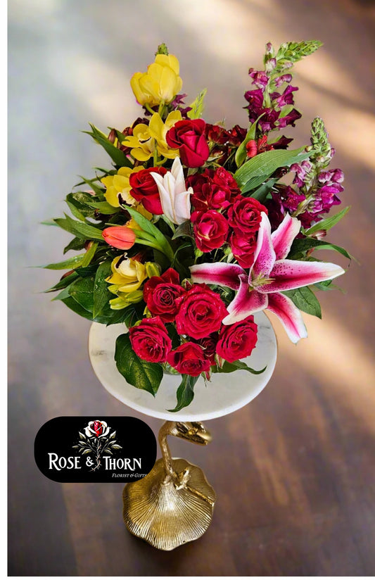 Cymbidium Glow : IN 45