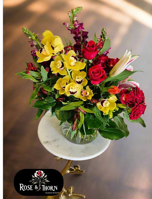 Cymbidium Glow : IN 45